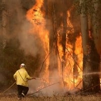 Australian Bushfires Continue