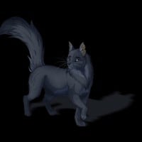 Stormtail - Not loving Moonflower or Bluestar and Snowfur