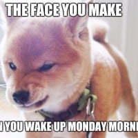 Waking up Monday mornings