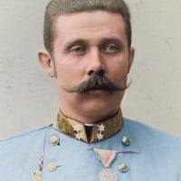 The Death of Archduke Franz Ferdinand of Austria