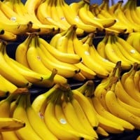 Banana, Queensland