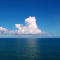 The ocean produces more than half of our oxygen in our planet