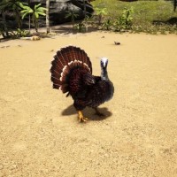 Super Turkey (ARK: Survival Evolved)