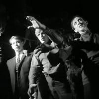 Zombies (Night of the Living Dead)