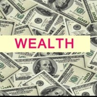 The Pursuit of Wealth
