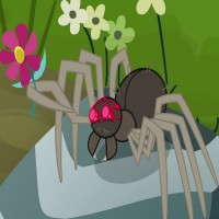 Arachnophobia (Fear of Spiders)