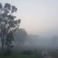 Foggy Weather