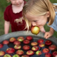 Bobbing for Apples was thought to be able to give young women husbands