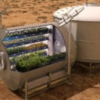 You can grow asparagus and turnips on Mars