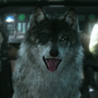 D-Dog (Metal Gear Solid V: The Phantom Pain)