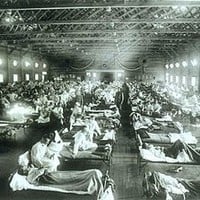 1918 Influenza Pandemic