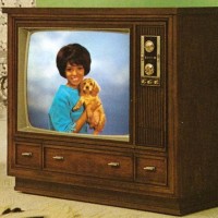 Color television became more affordable