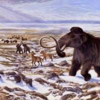 Ice age animals were insanely large