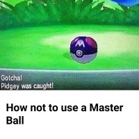 Don't use your Master Ball unless you're battling a Legendary or a Shiny