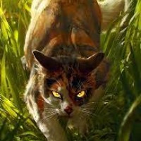 Top 10 Strongest Warrior Cats - TheTopTens