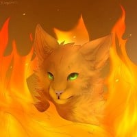 Thunderclan are Heroes
