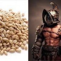 A gladiator's diet was mostly vegetarian