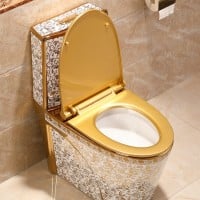 Golden Toilets