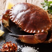 Brown crabs are the most common crabs caught in Europe