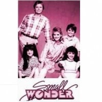 Vijay tv dubbed small wonder