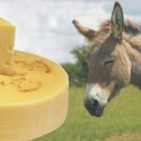 Ass Cheese
