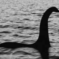 The Loch Ness Monster is a plesiosaur that escaped extinction