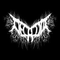 Top 10 Best DSBM (Depressive/Suicidal Black Metal) Bands - TheTopTens