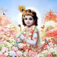 Krishna (Hindu)