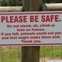 PLEASE BE SAFE. Do not stand, sit, climb or lean on fences. If you fall, animals could eat you and that might make them sick. Thank you.
