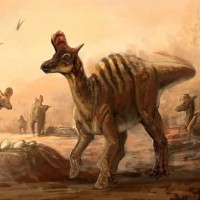 top ten coolest dinosaurs