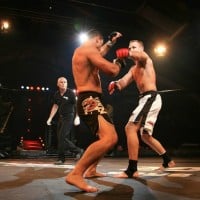 Mixed Martial Arts (MMA)