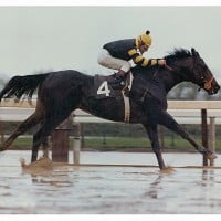 Seattle Slew