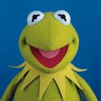 Kermit - The Muppets