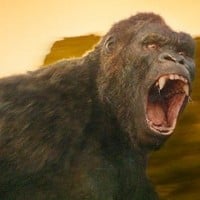 King Kong (Terry Notary) - Kong: Skull Island (2017)