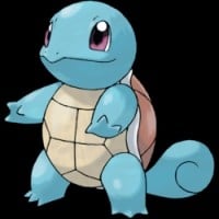 Squirtle leaves