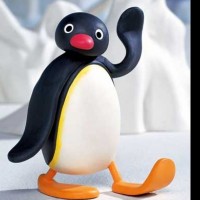 Pingu