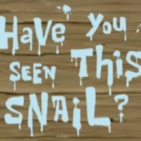 Have You Seen This Snail?