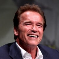Arnold Schwarzenegger (Austria)
