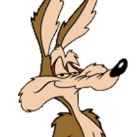 Wile E. Coyote (Looney Tunes)