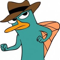 OWCA (spinoff of Phineas & Ferb)