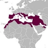 Roman Empire (27 BC-1453 AD)