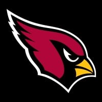 The Arizona Cardinals will sneak into the playoffs
