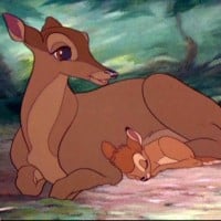 Bambi's mother's death - Bambi