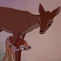 Bambi's Mom (Paula Winslowe) - Bambi