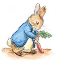 Peter Rabbit (Peter Rabbit)