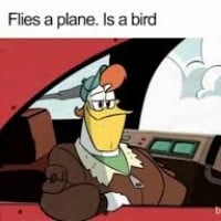 Launchpad McQuack flies a plane when he's a bird