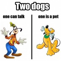 Goofy is a dog who can walk and talk, but Pluto acts like a regular dog