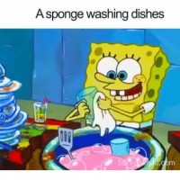 SpongeBob washes the dishes when he's a sponge